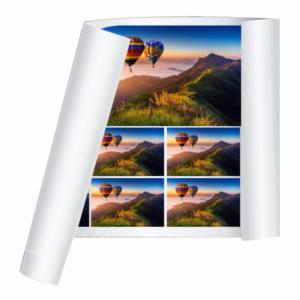 Papel Fotográfico Importado 260g  4x0 Impressão Solvente Premium Sem refile 